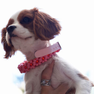 Flower Power Collar / Medium/ Large/ Pink / Orange