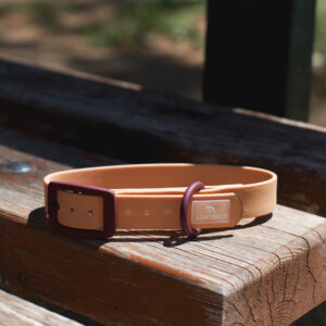 Unicord Waterproof Collar Salmon/Burgundy Small - Image 1
