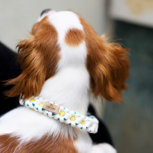 Flower Power Collar / Small / White/ Yellow/ Green