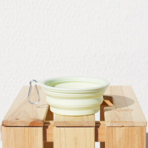 Folding Water Bowl - Mint
