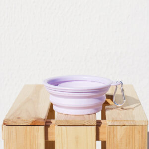 Folding Water Bowl - Light Purple