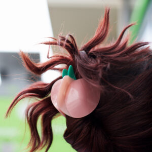 Apple Hairclip