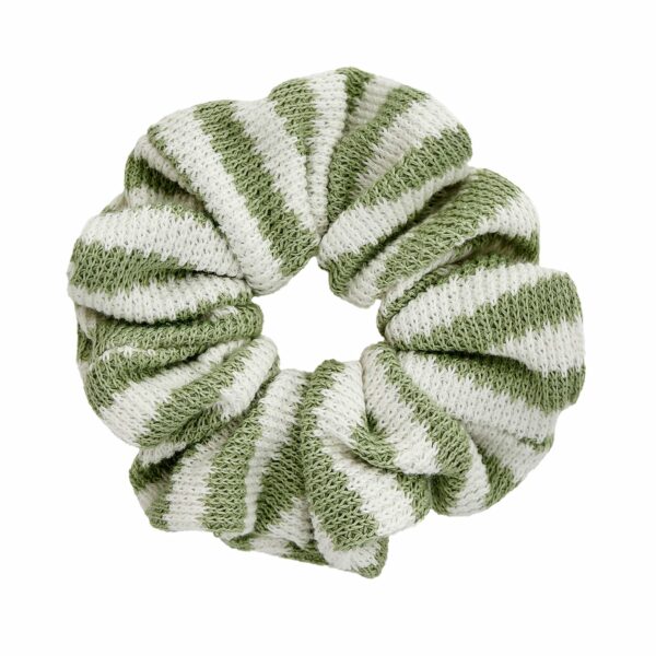 CRINOLINO.7.59525-scaled