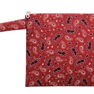 See My Bag Red Paisley
